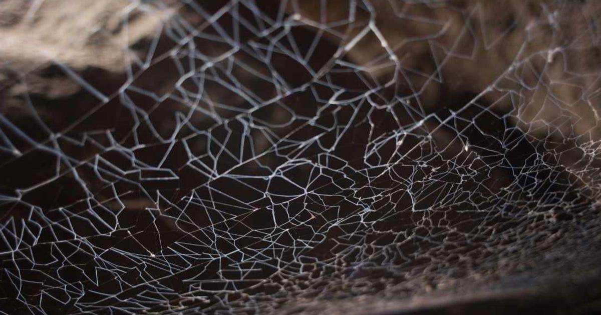 NASA’s Curiosity Rover Captures First Detailed Images of Martian 'Spiderwebs'