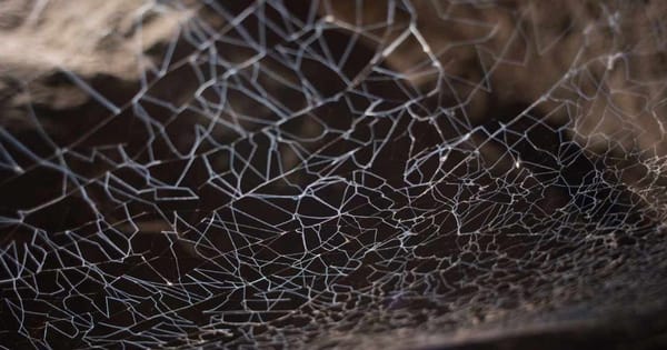 NASA’s Curiosity Rover Captures First Detailed Images of Martian 'Spiderwebs'